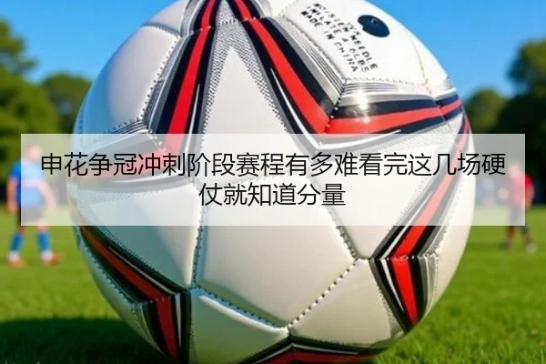 申花争冠冲刺阶段赛程有多难看完这几场硬仗就知道分量 - Kaiyun